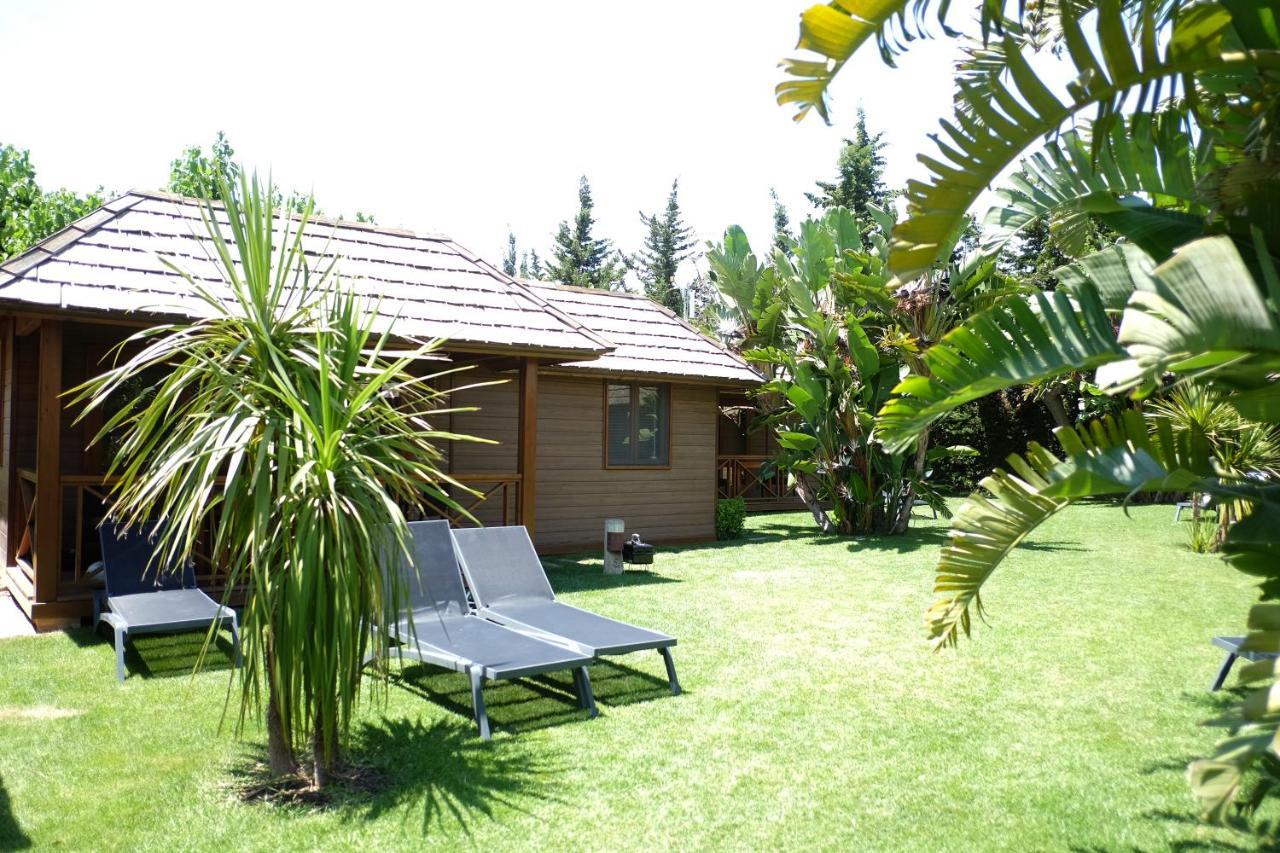 Playa Montroig Campingplatz